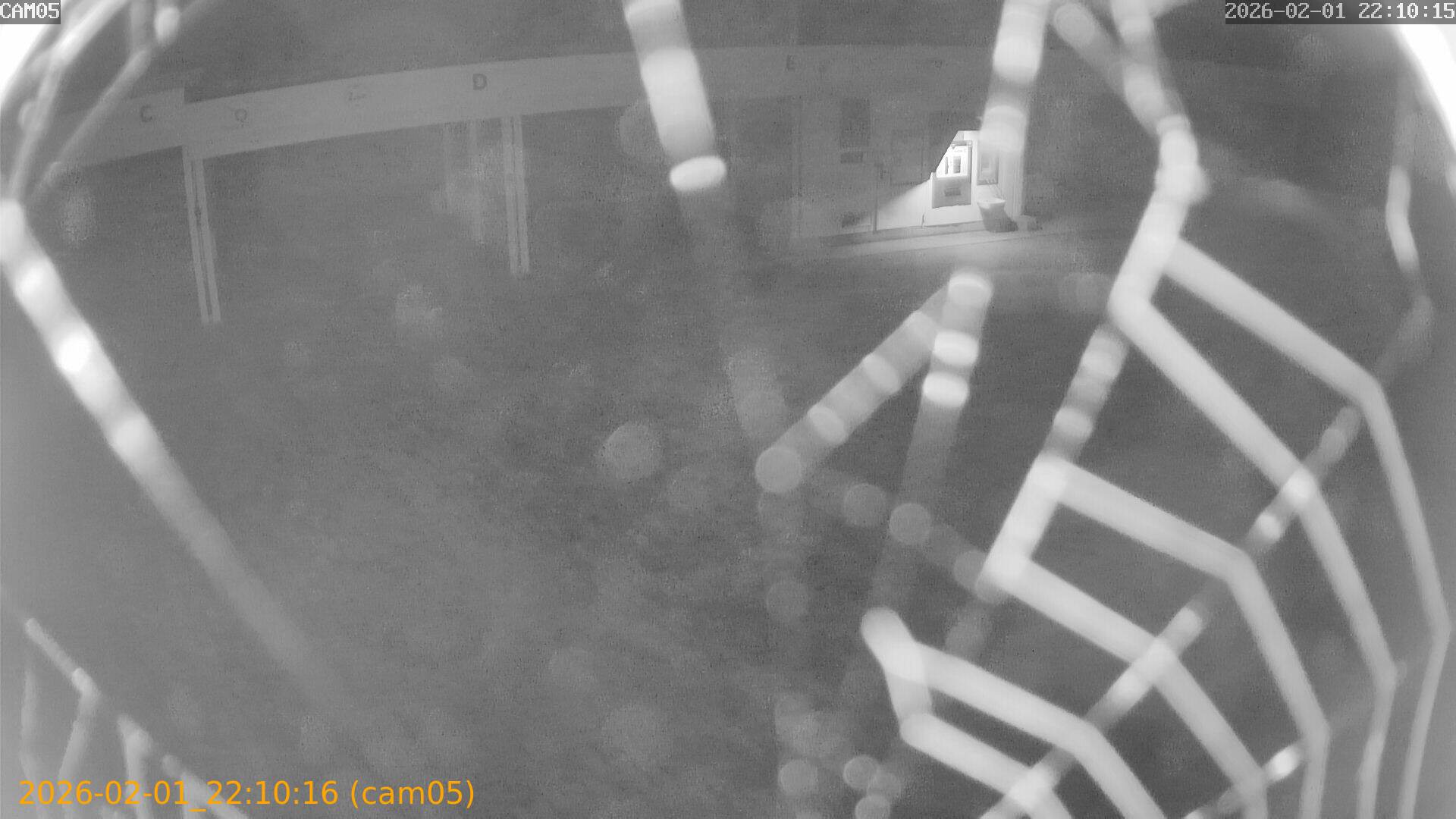 thumbnail_20260201221016