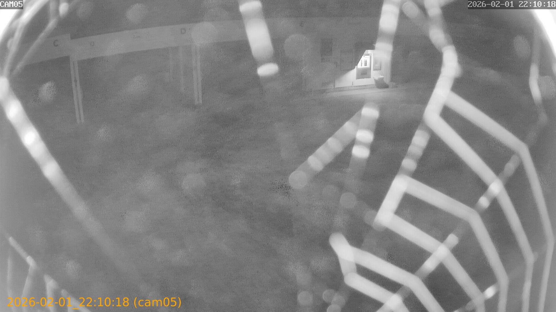 thumbnail_20260201221018