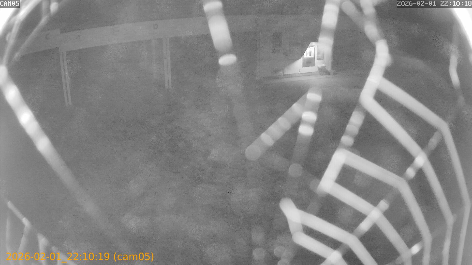 thumbnail_20260201221019