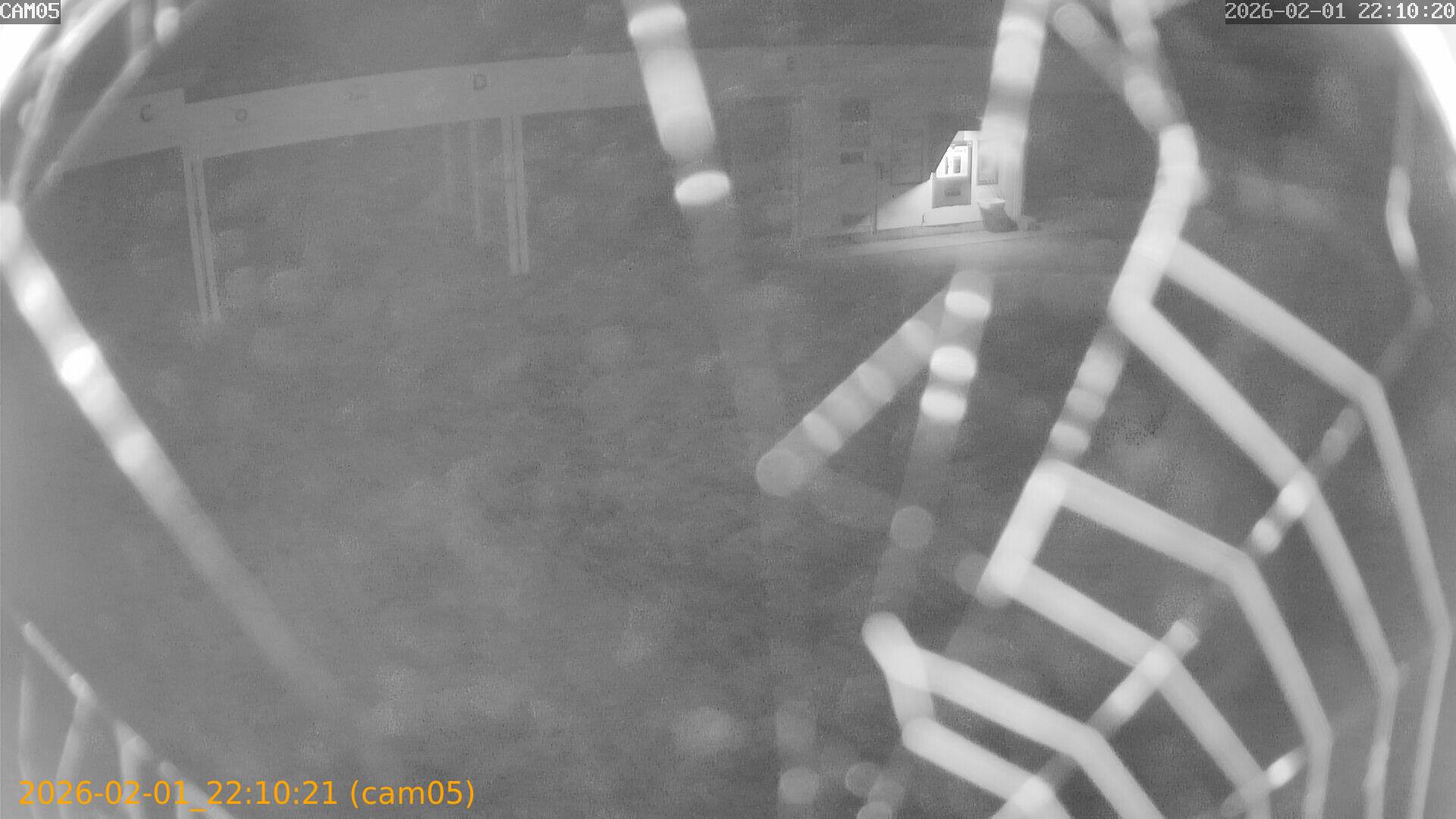 thumbnail_20260201221021