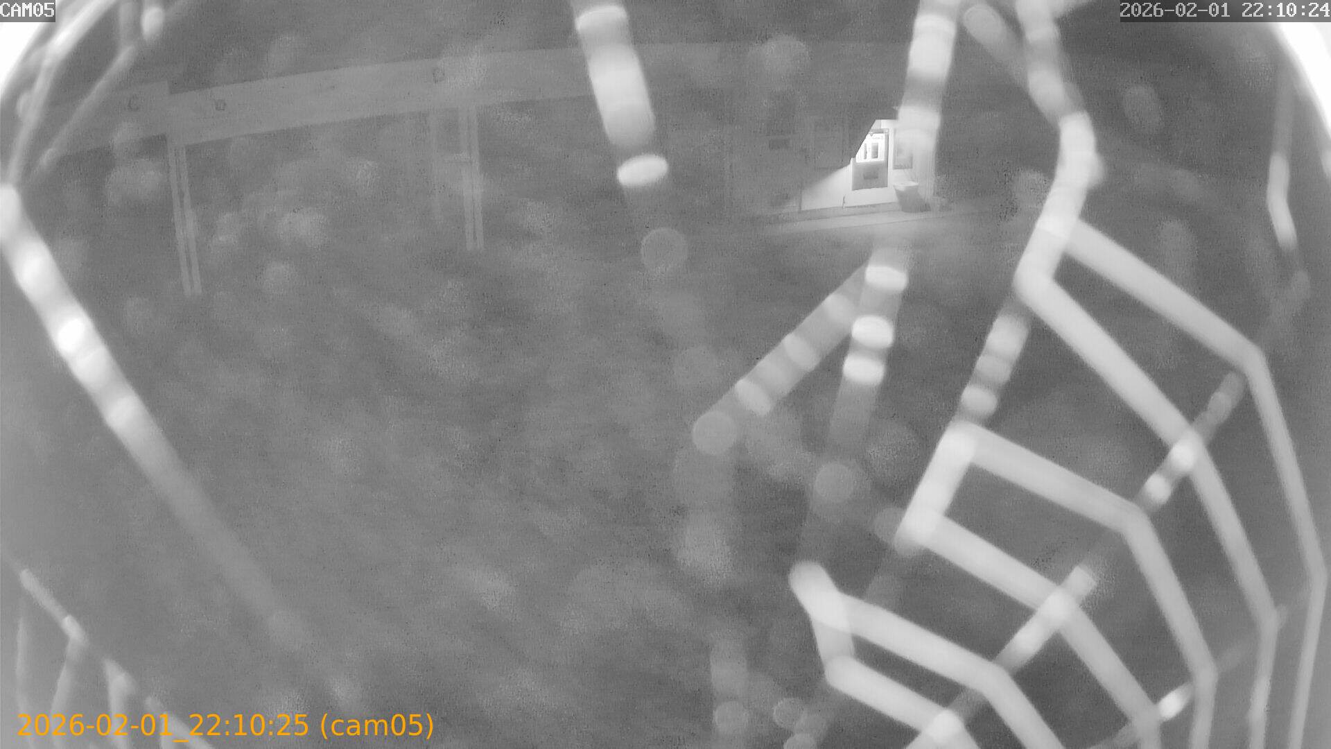 thumbnail_20260201221025