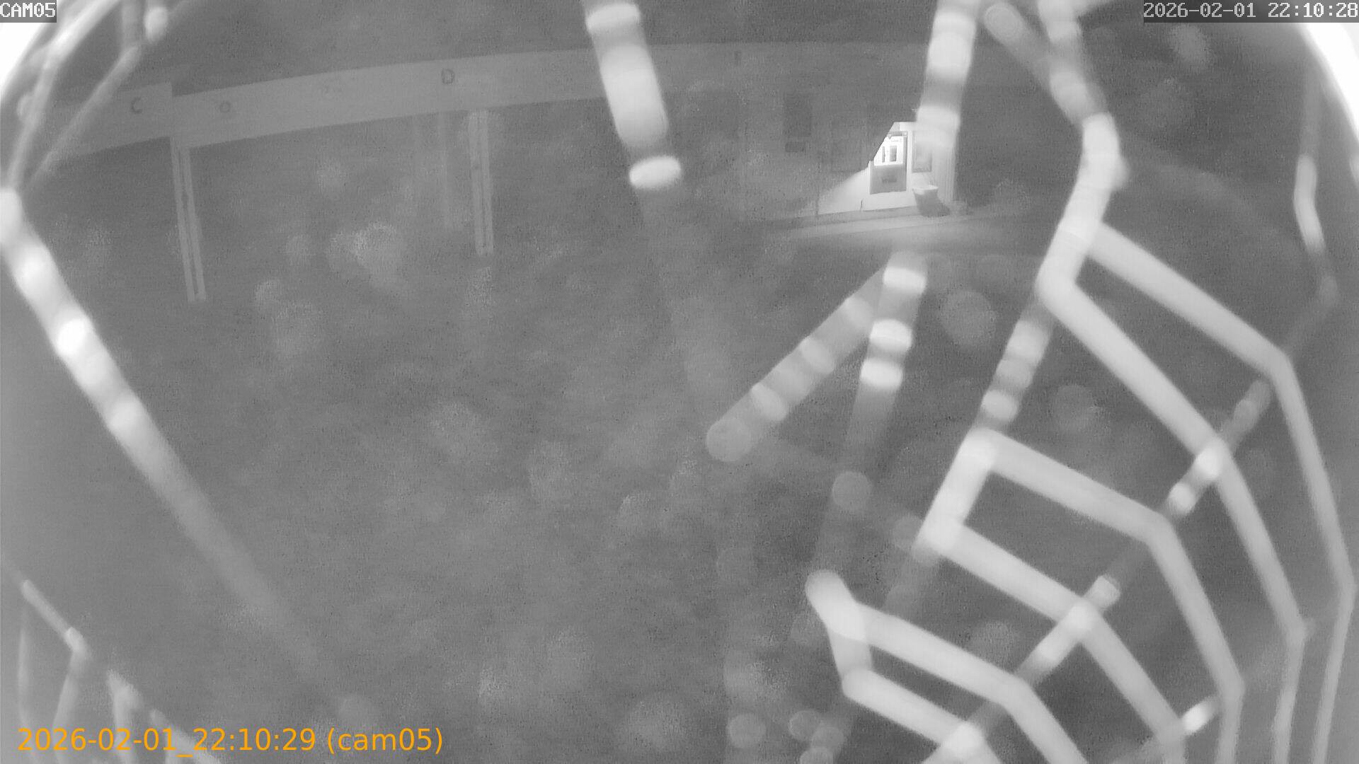 thumbnail_20260201221029