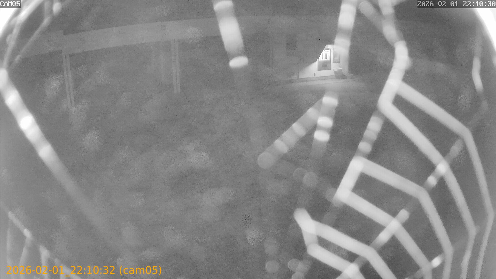 thumbnail_20260201221031