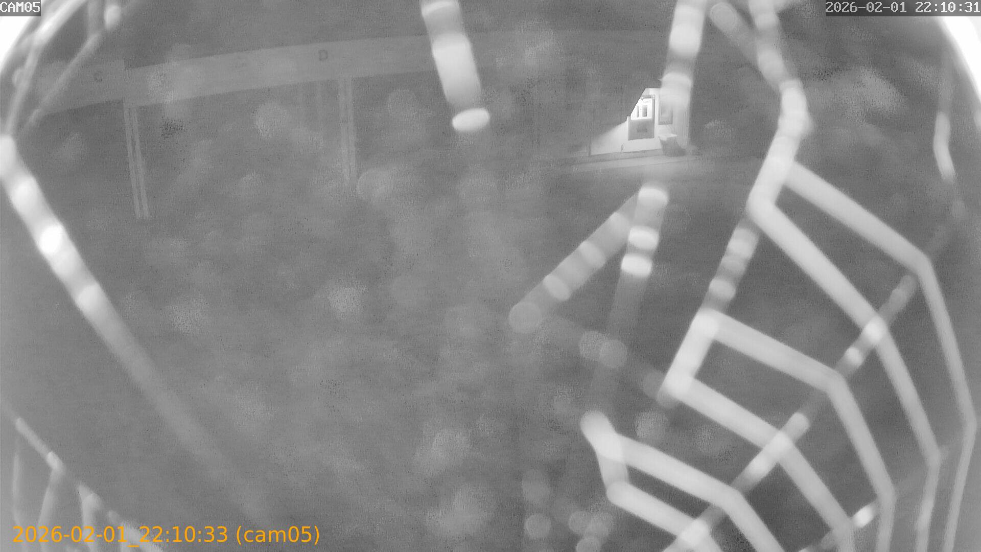 thumbnail_20260201221032