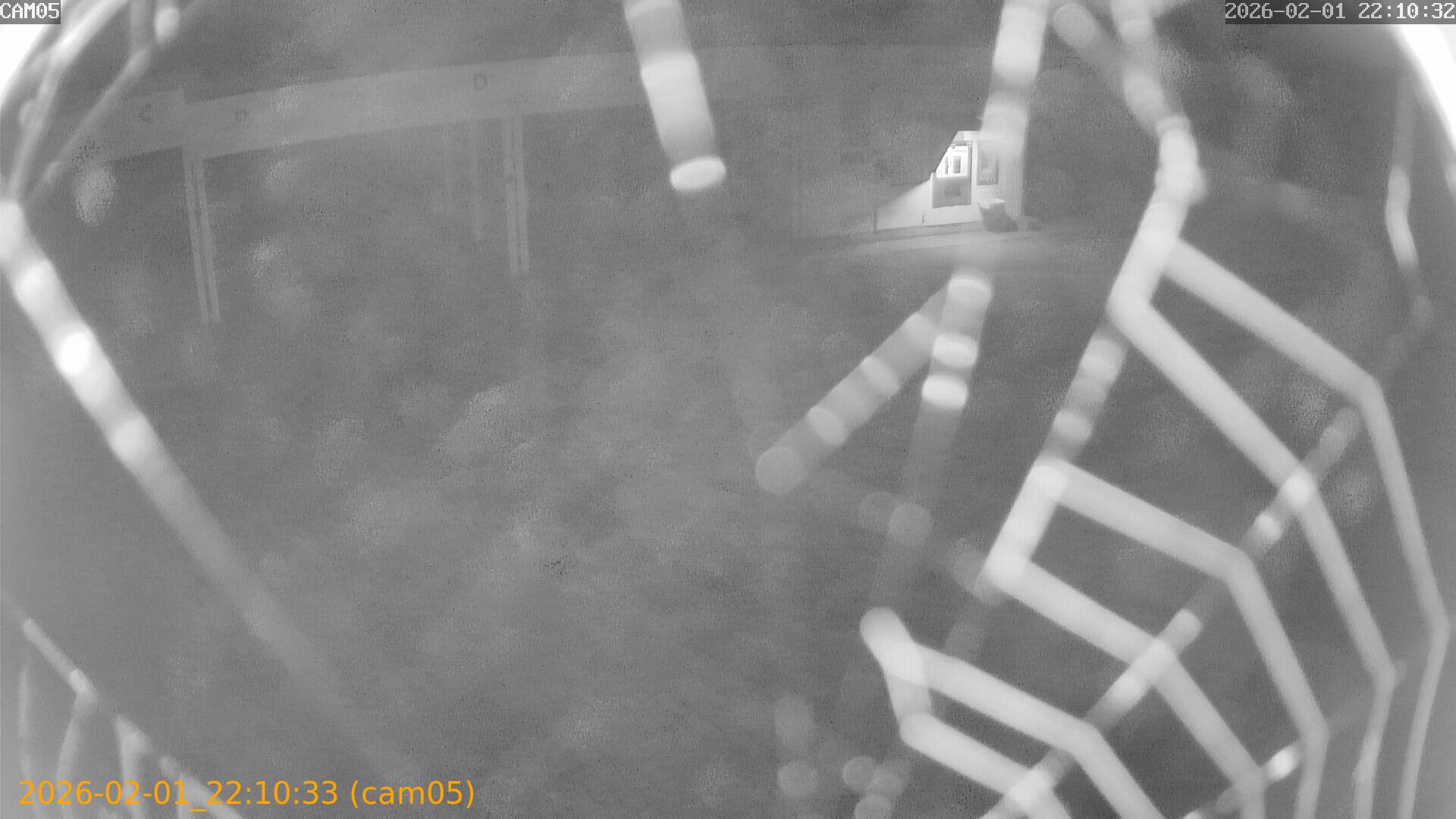 thumbnail_20260201221033