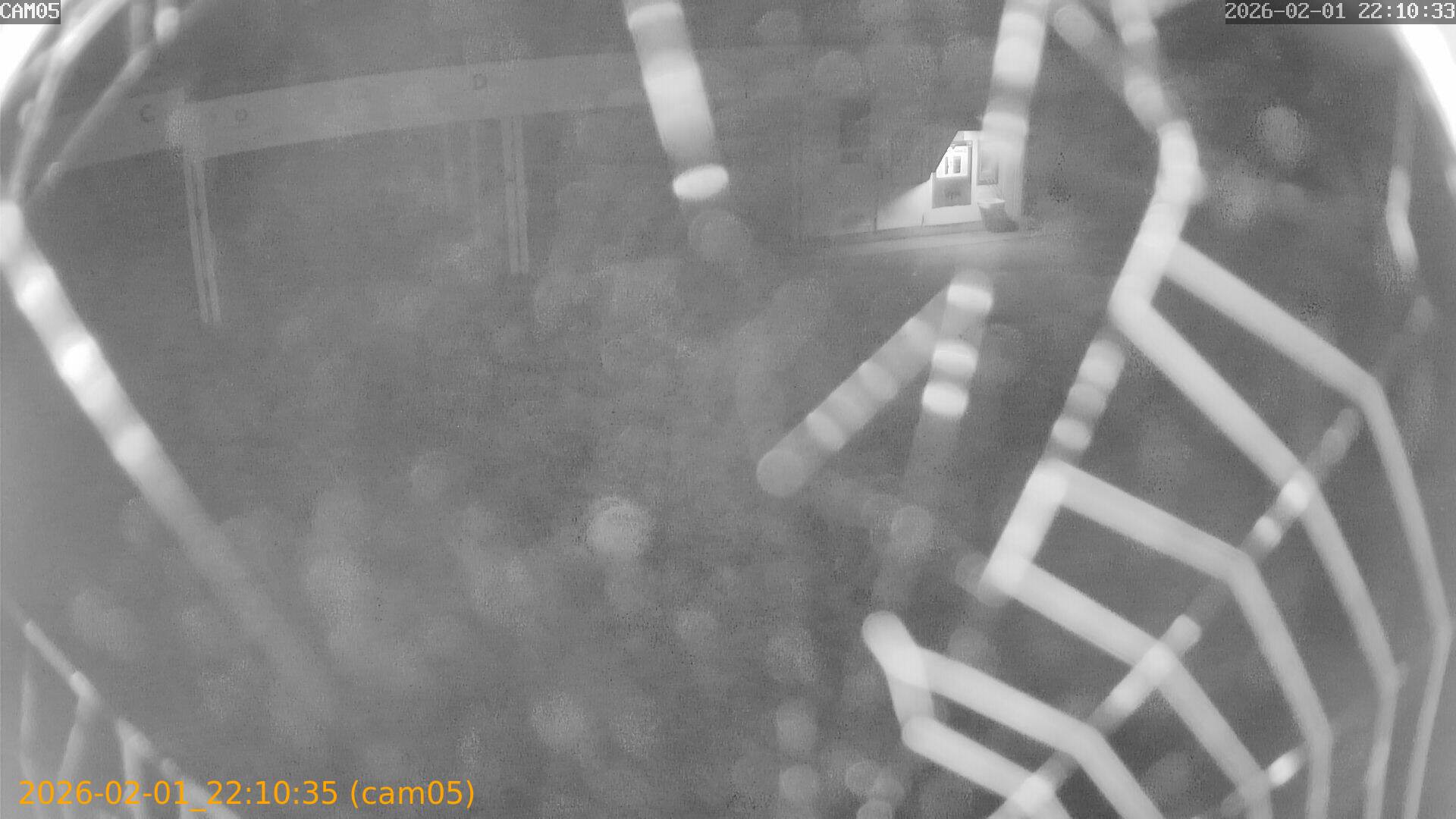 thumbnail_20260201221034