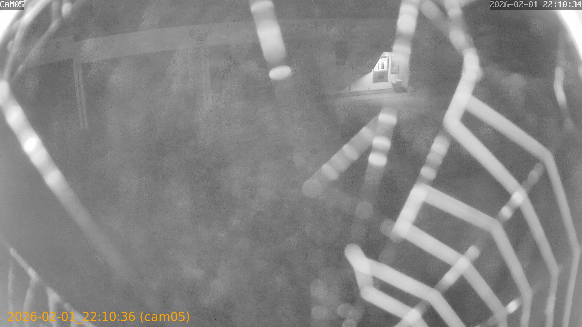 thumbnail_20260201221035