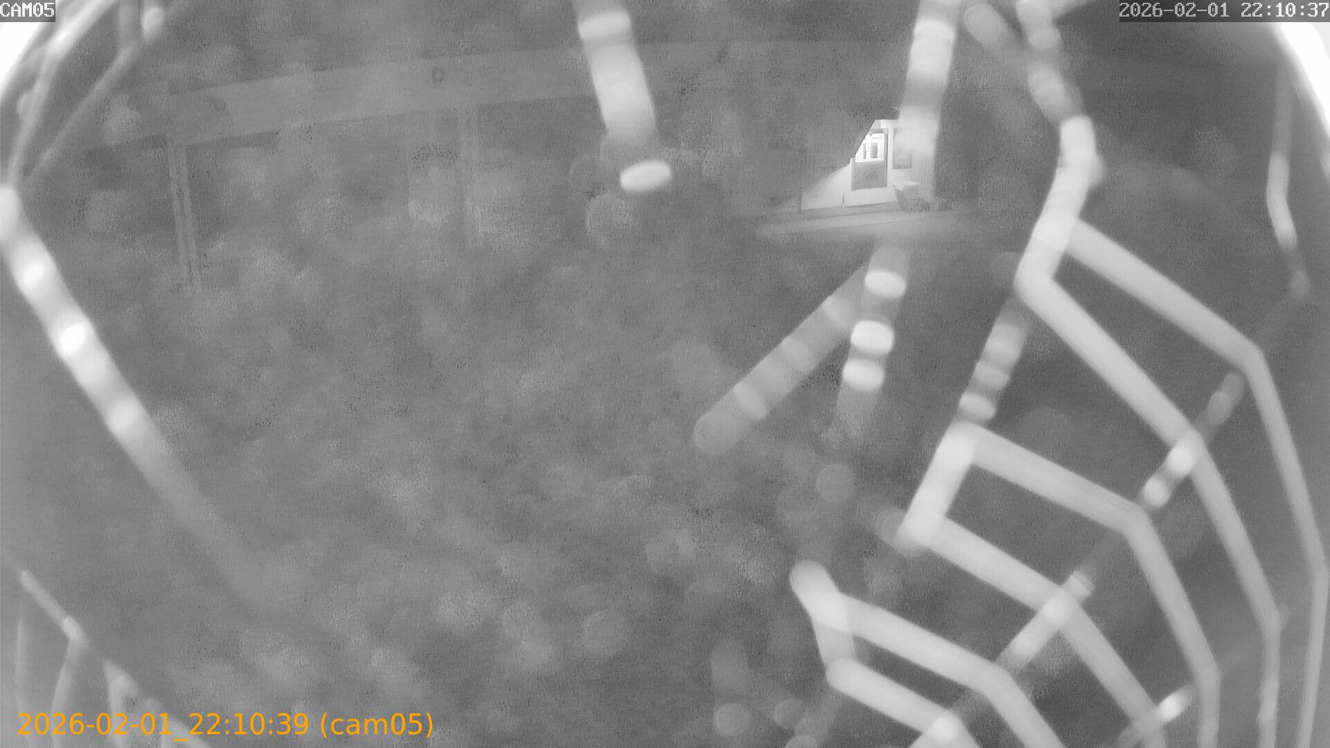 thumbnail_20260201221038