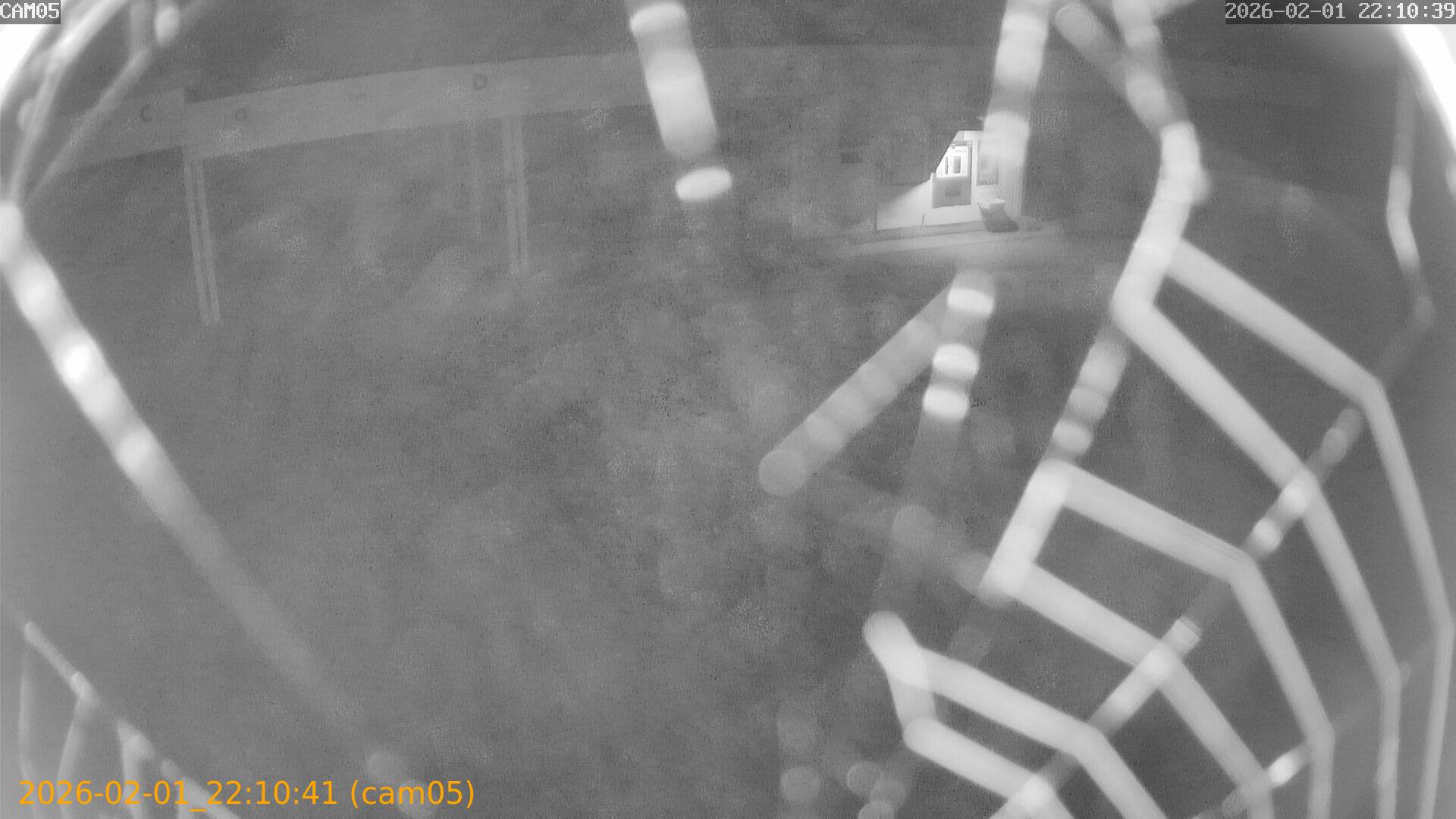 thumbnail_20260201221041