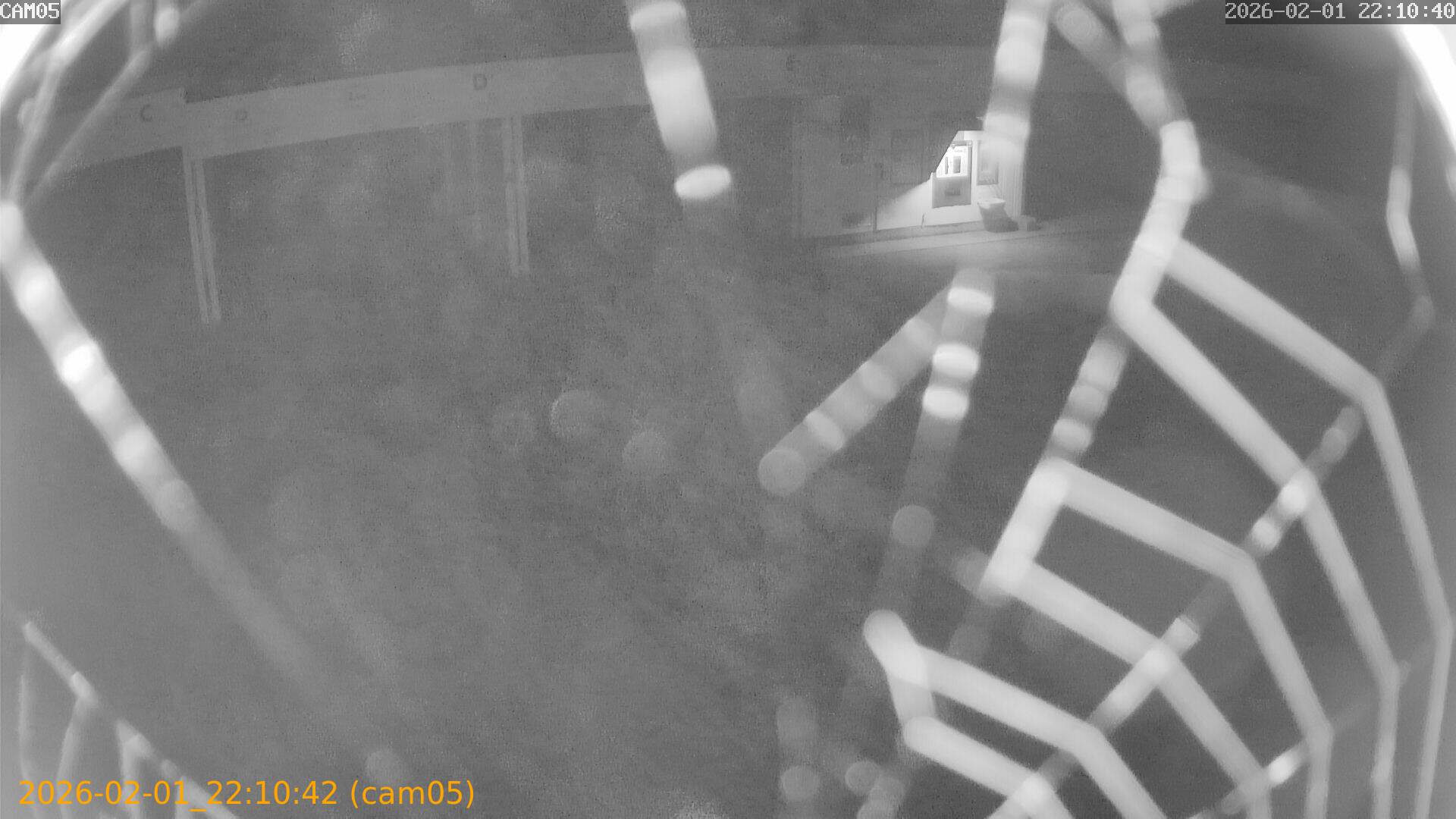 thumbnail_20260201221042