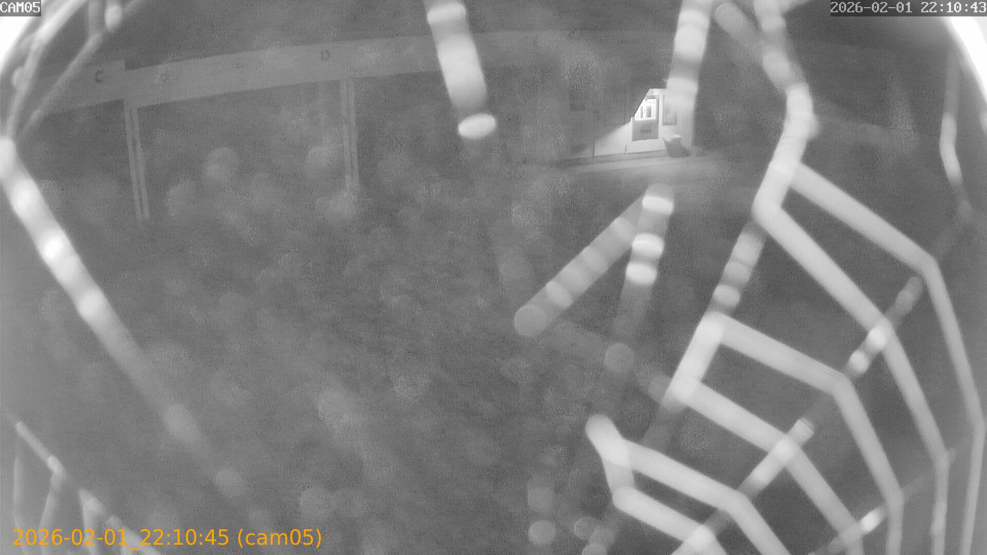 thumbnail_20260201221045