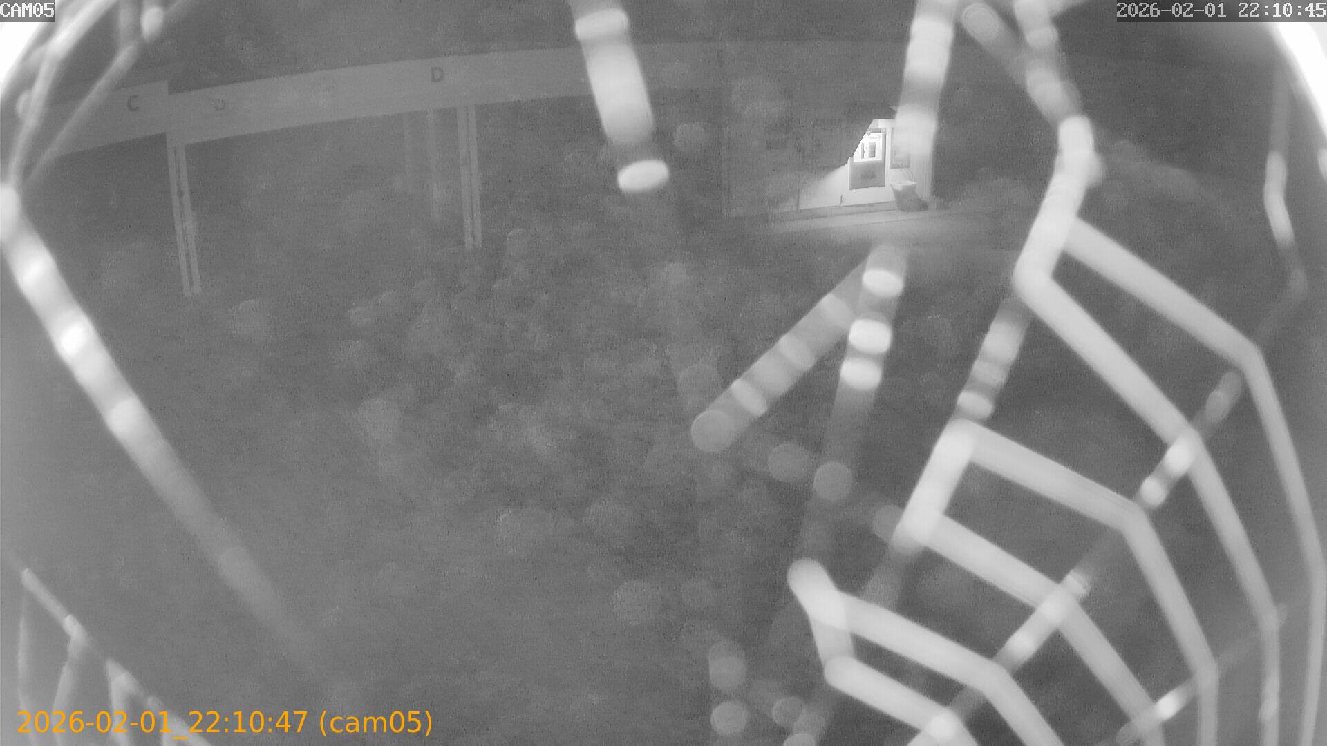 thumbnail_20260201221047