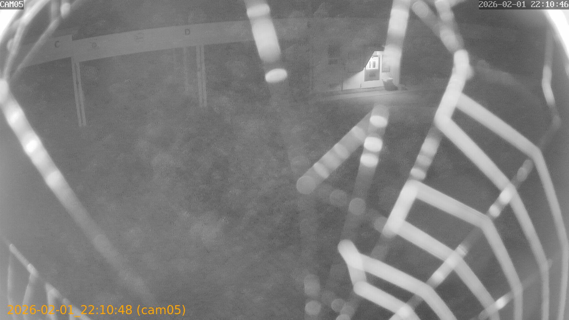 thumbnail_20260201221048