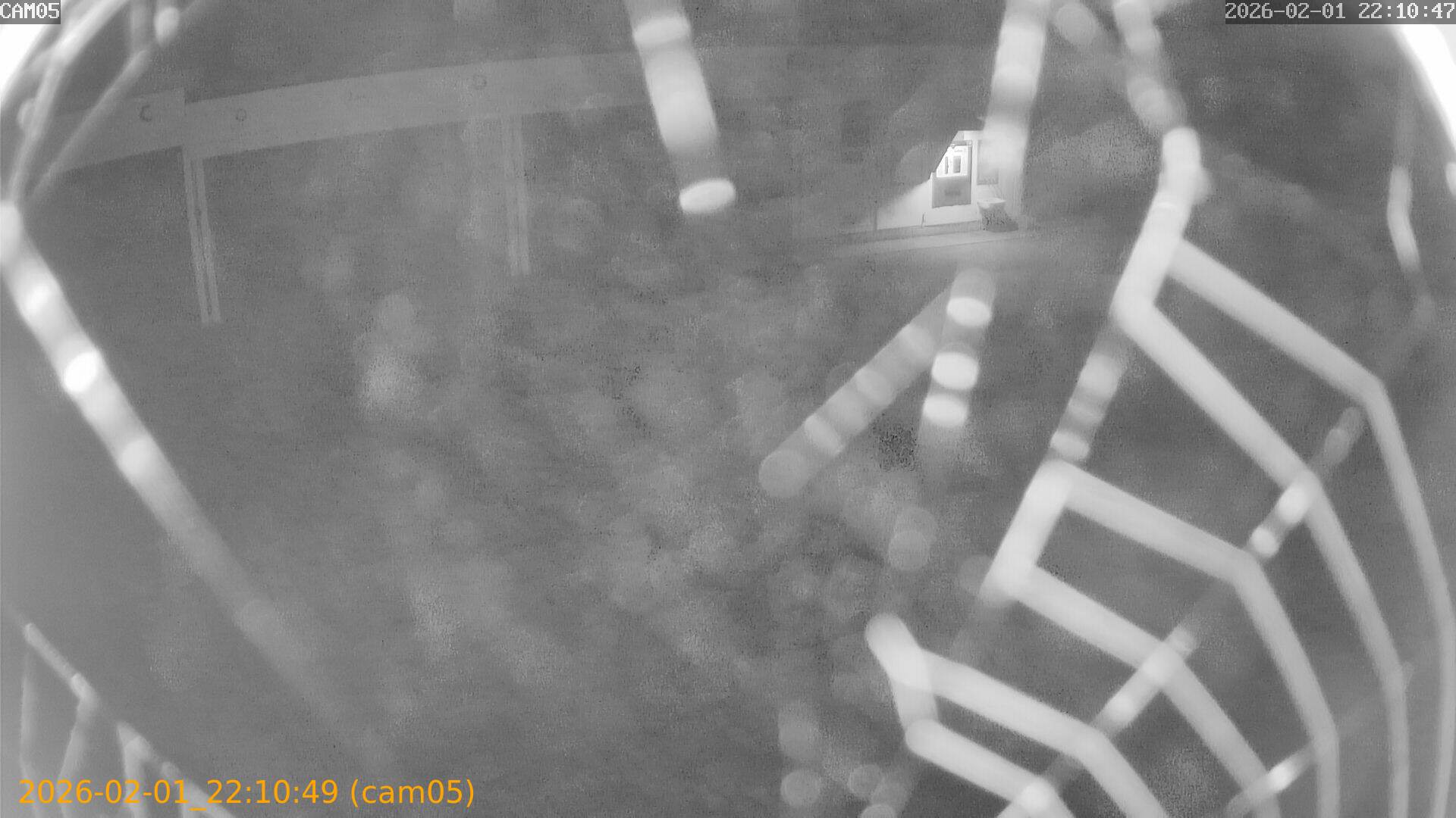 thumbnail_20260201221049