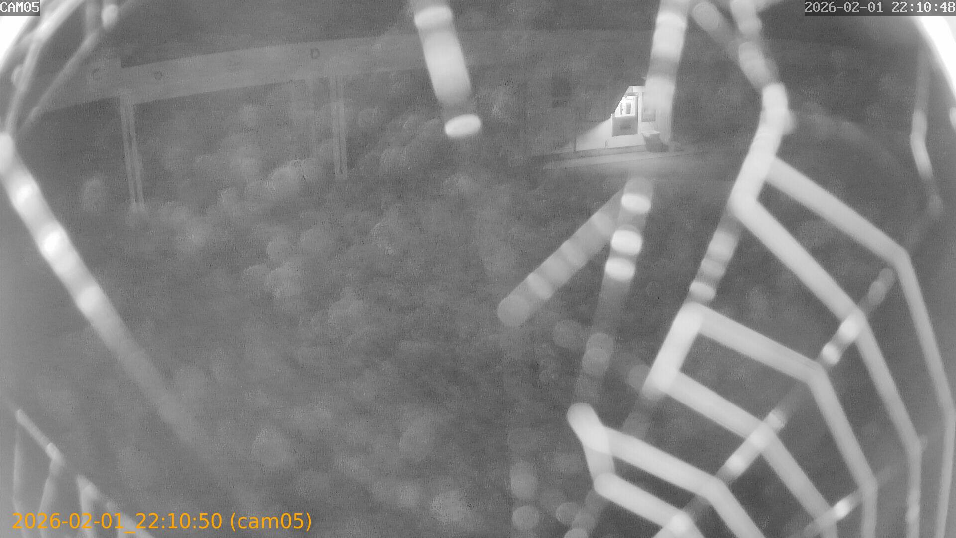 thumbnail_20260201221050