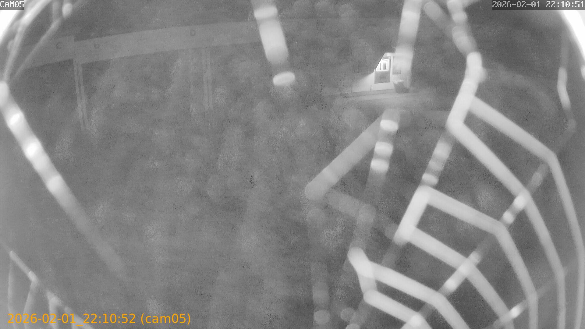 thumbnail_20260201221052