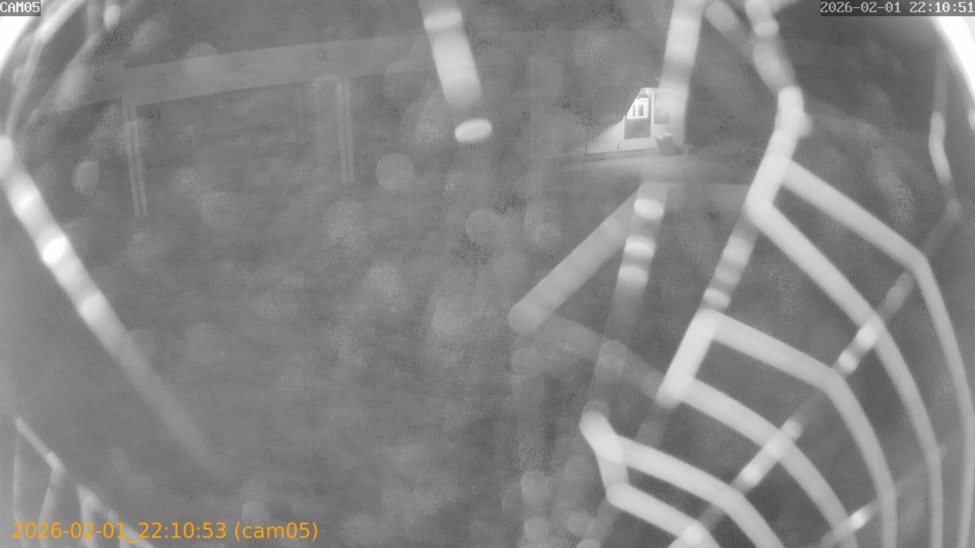 thumbnail_20260201221053