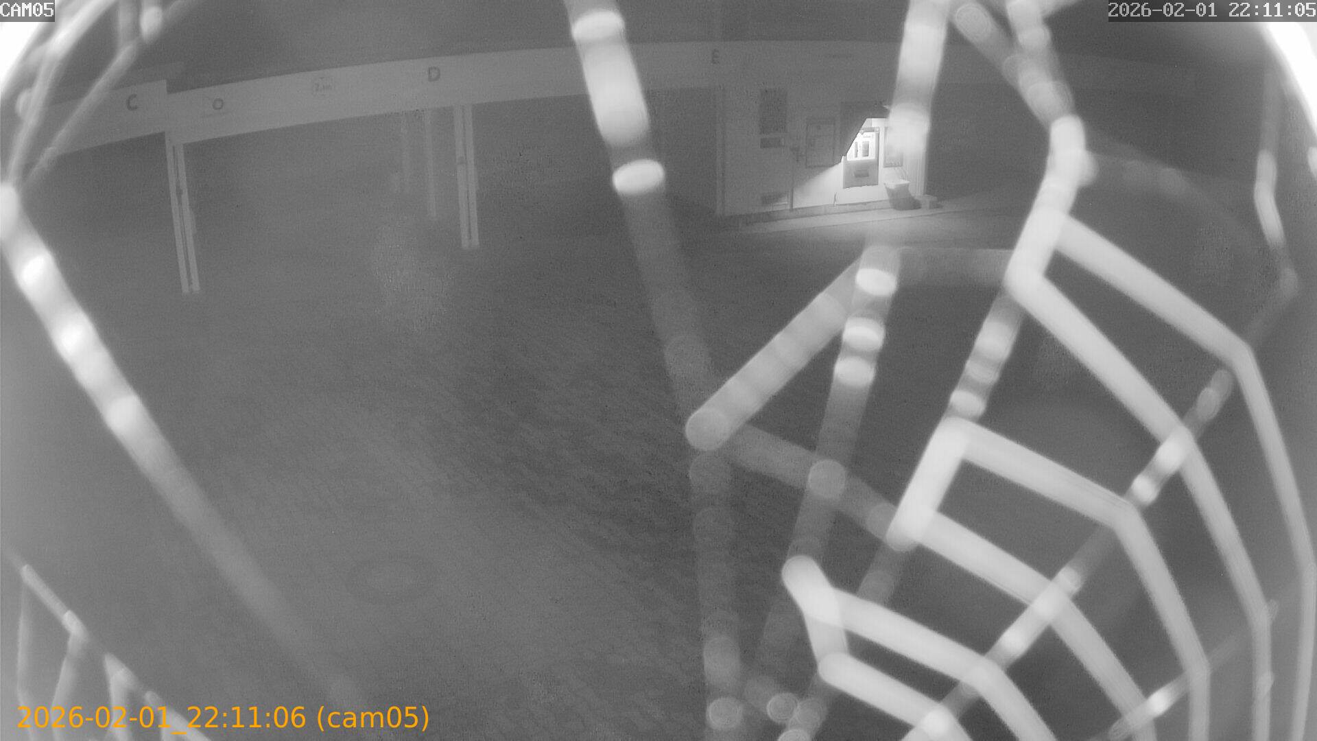 thumbnail_20260201221106