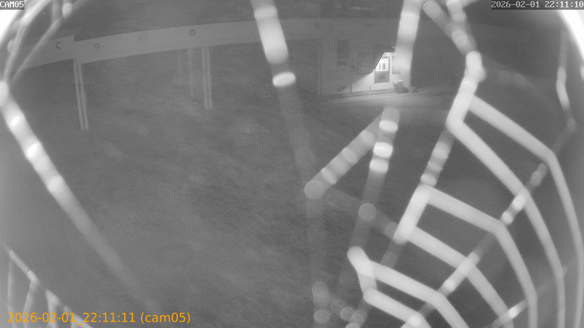 thumbnail_20260201221111