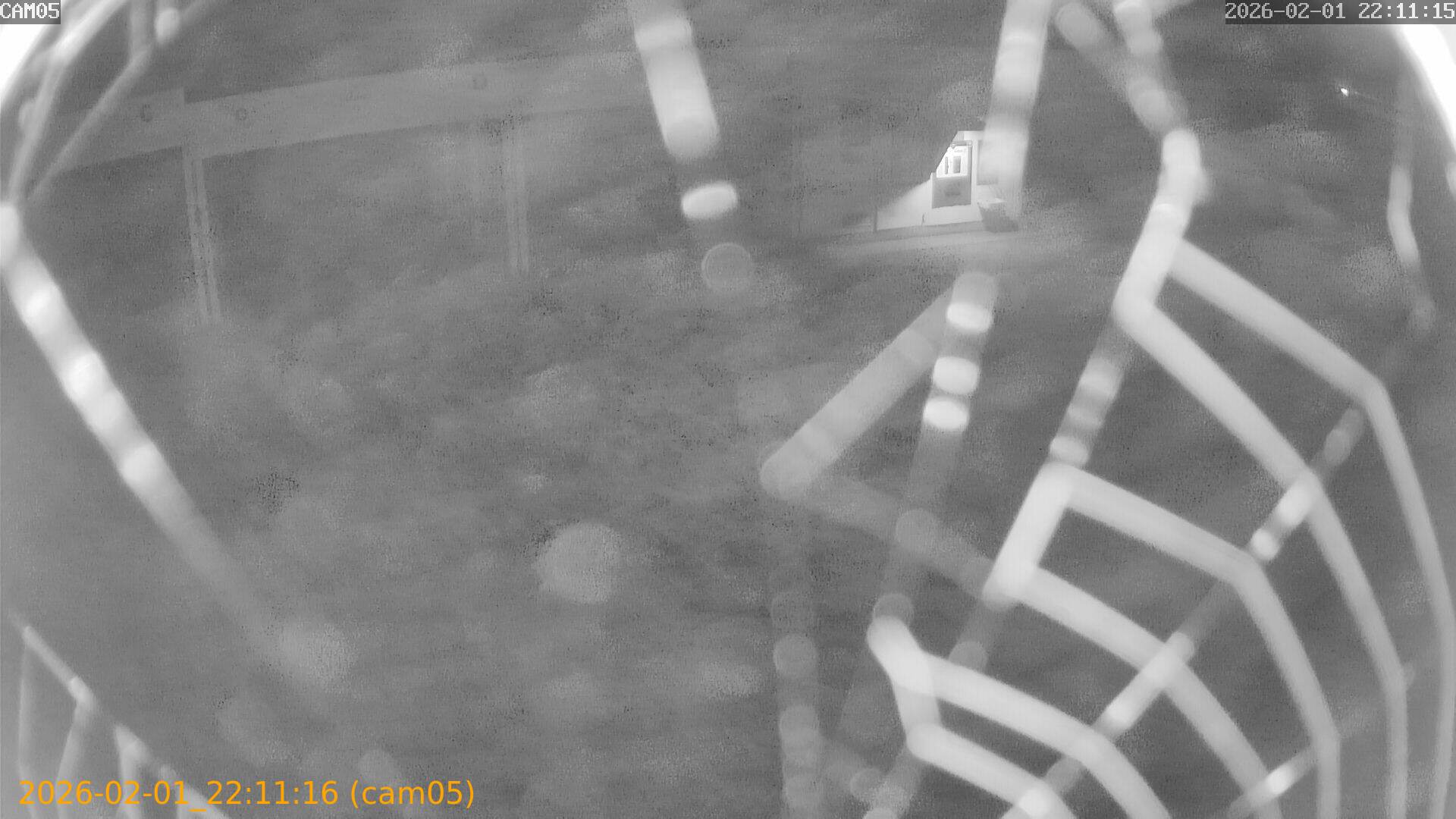 thumbnail_20260201221116