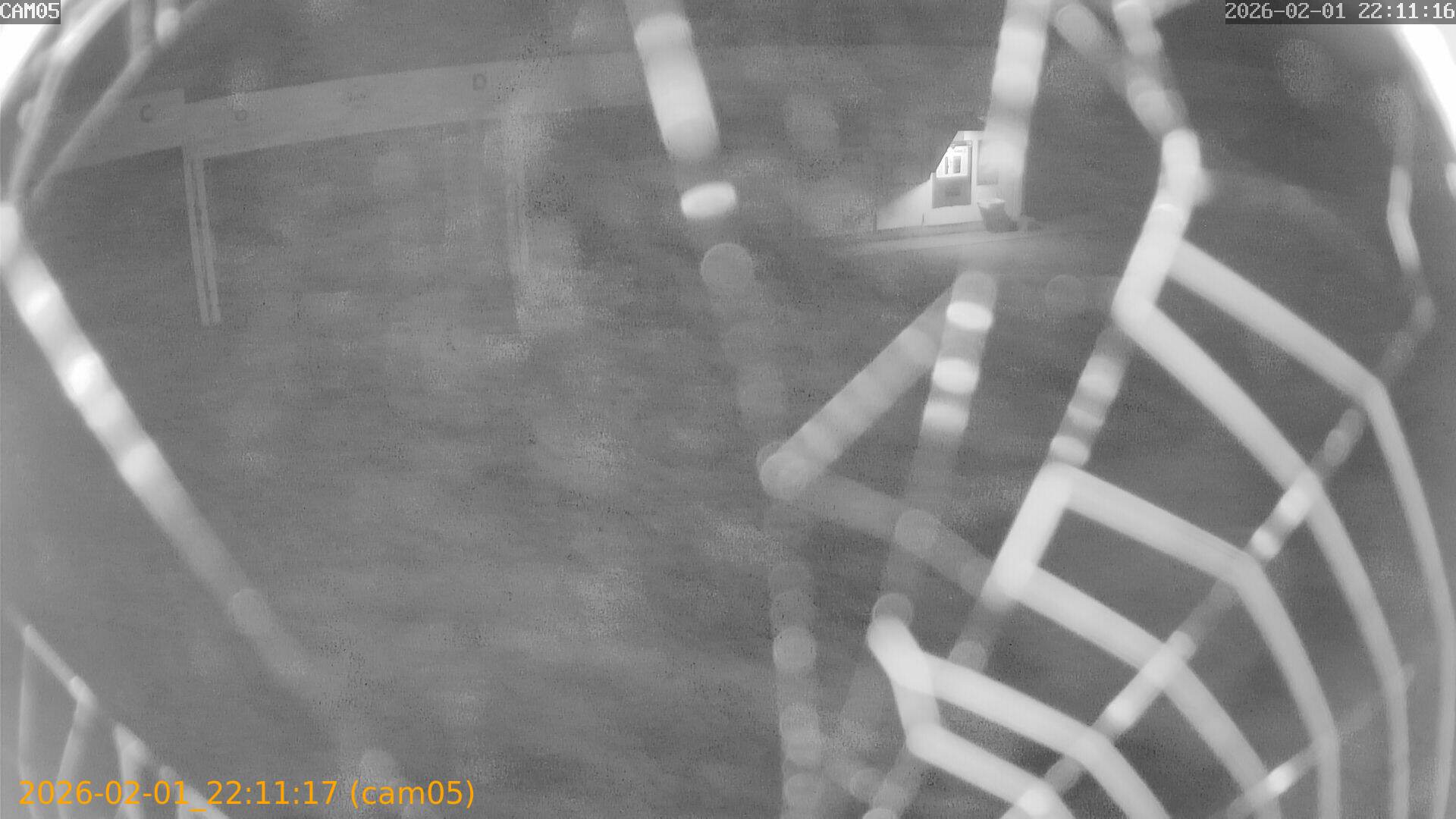 thumbnail_20260201221117