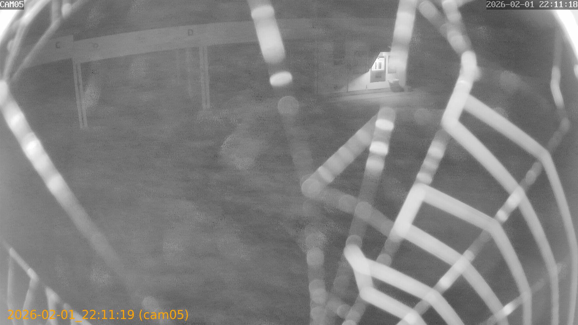 thumbnail_20260201221119