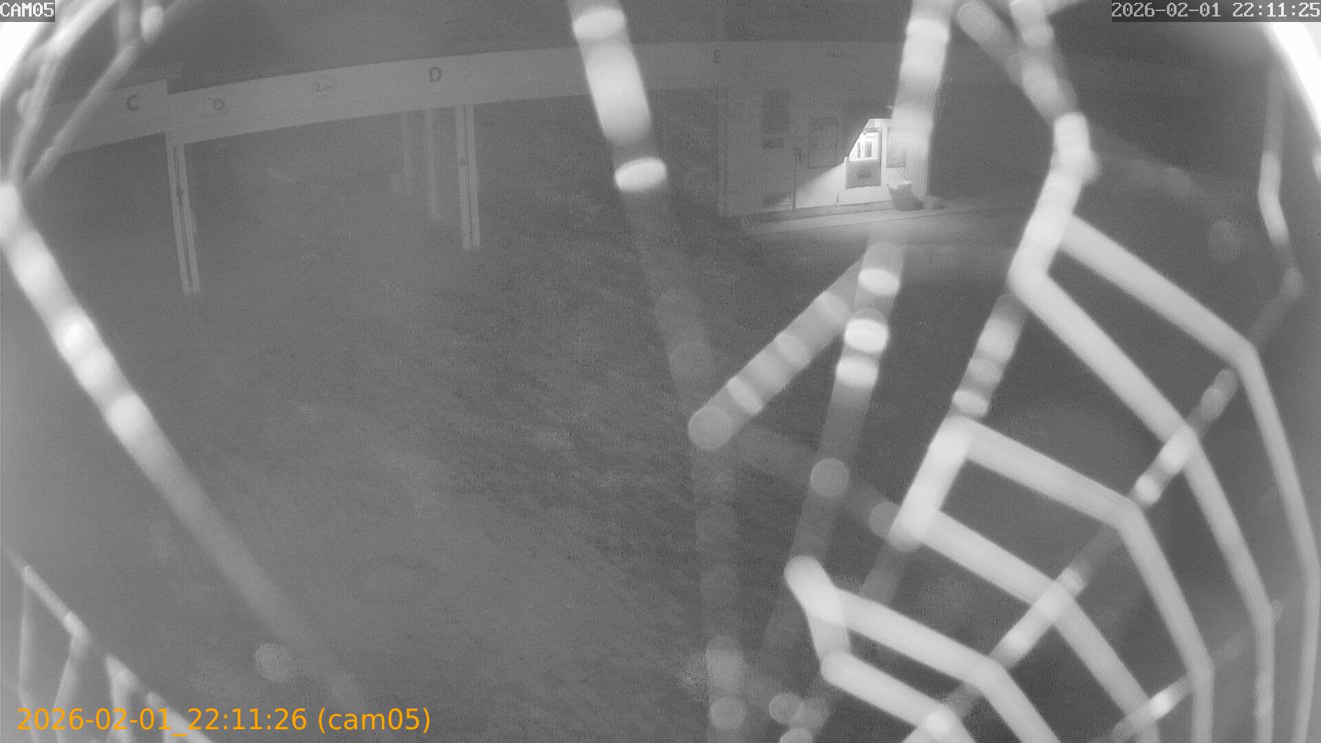 thumbnail_20260201221126