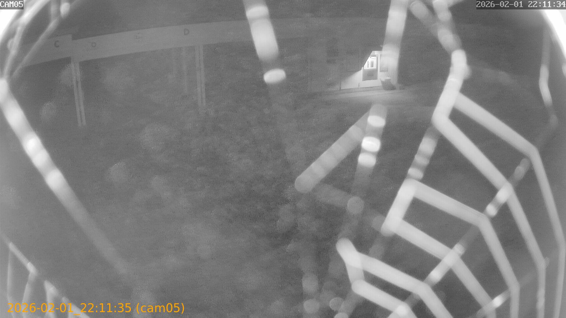 thumbnail_20260201221135