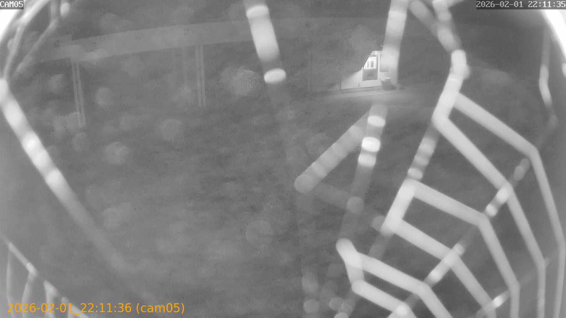 thumbnail_20260201221136