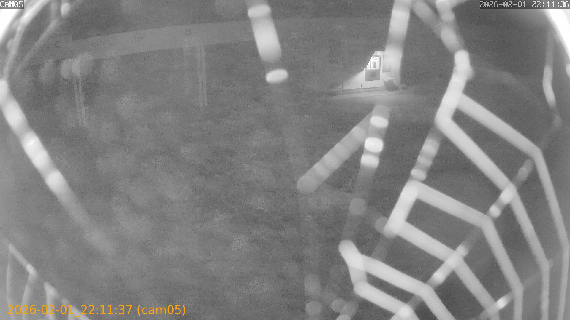 thumbnail_20260201221137