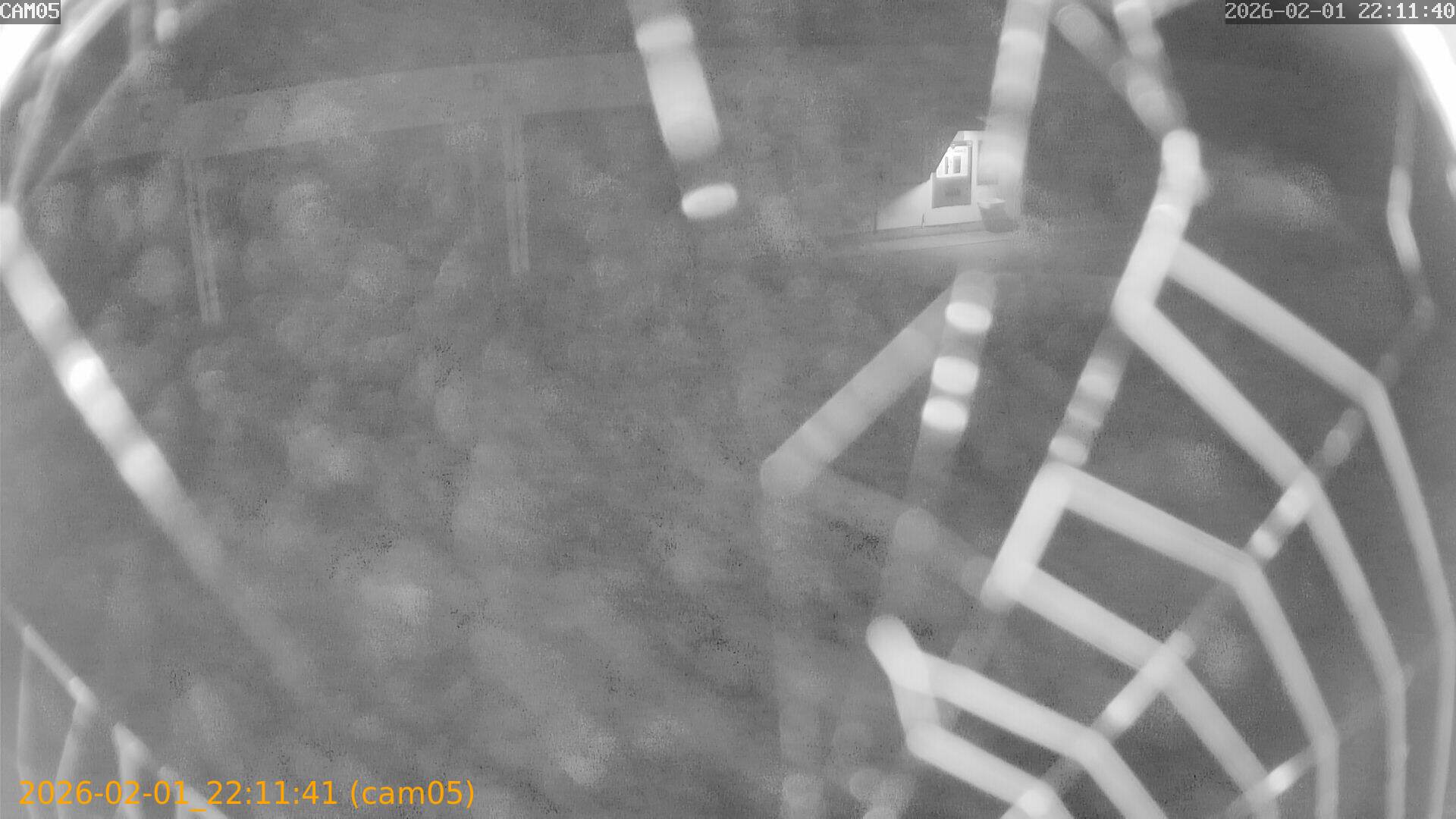 thumbnail_20260201221141