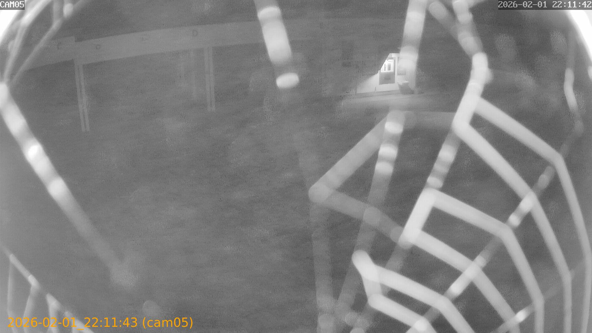 thumbnail_20260201221143