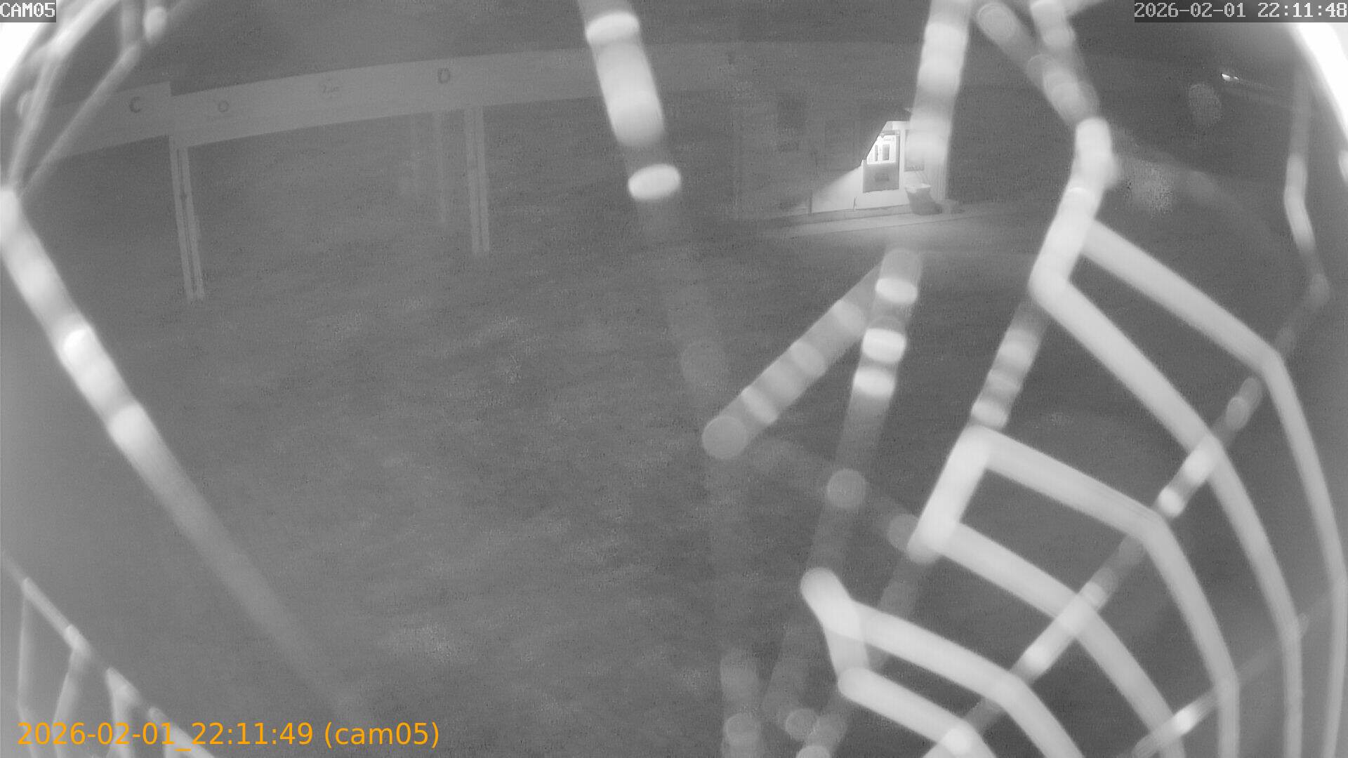 thumbnail_20260201221149