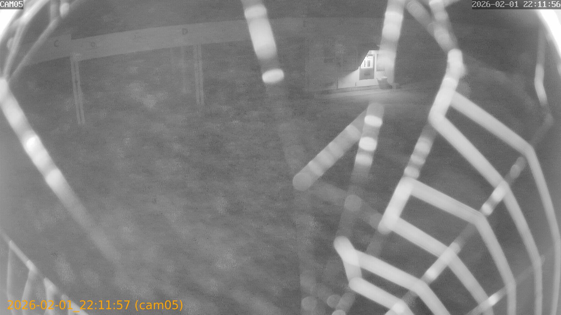 thumbnail_20260201221157