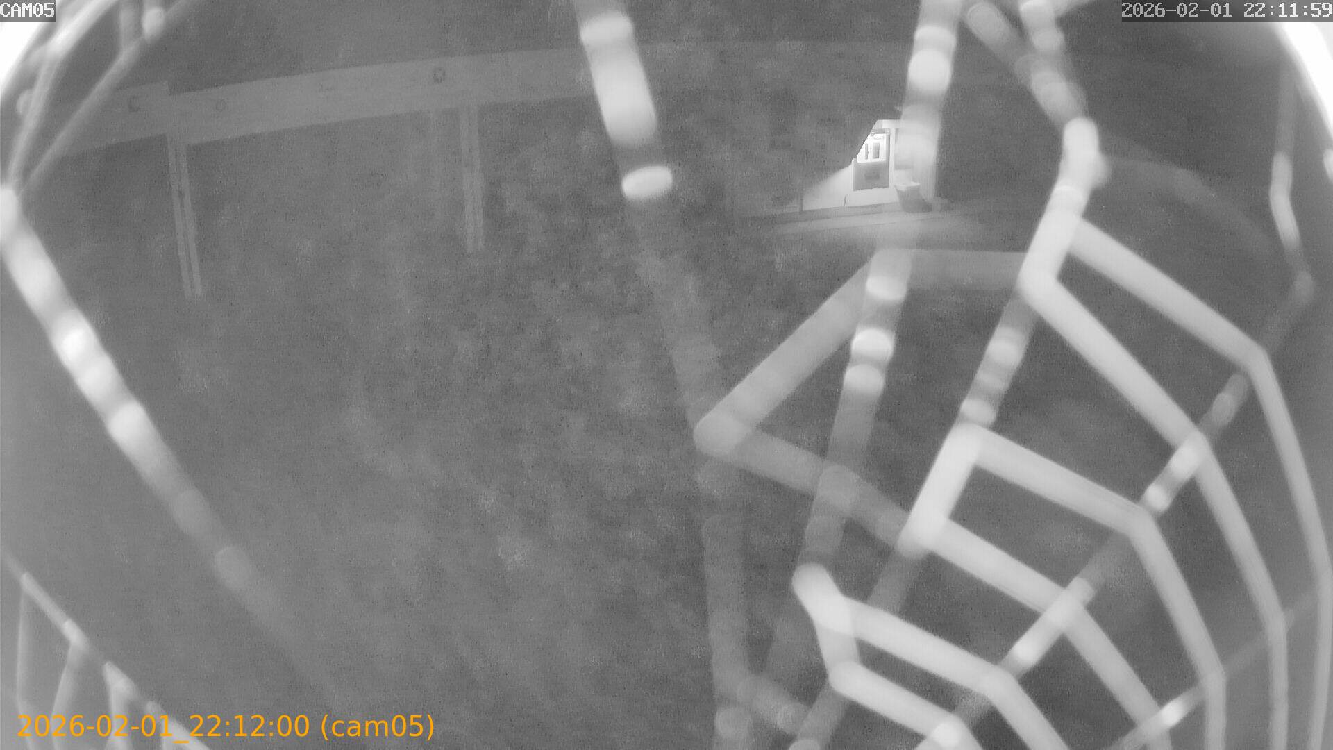 thumbnail_20260201221200