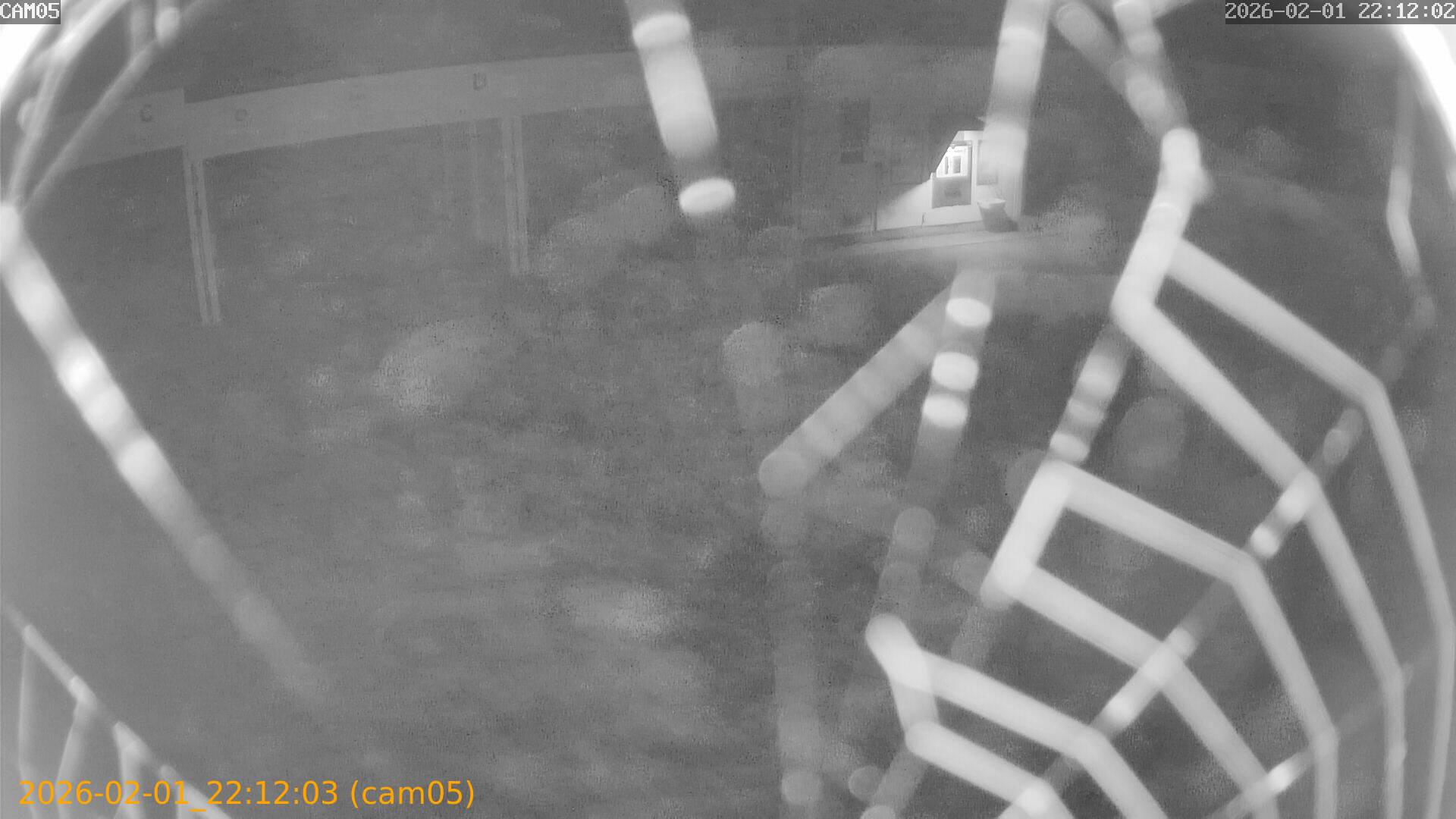 thumbnail_20260201221203