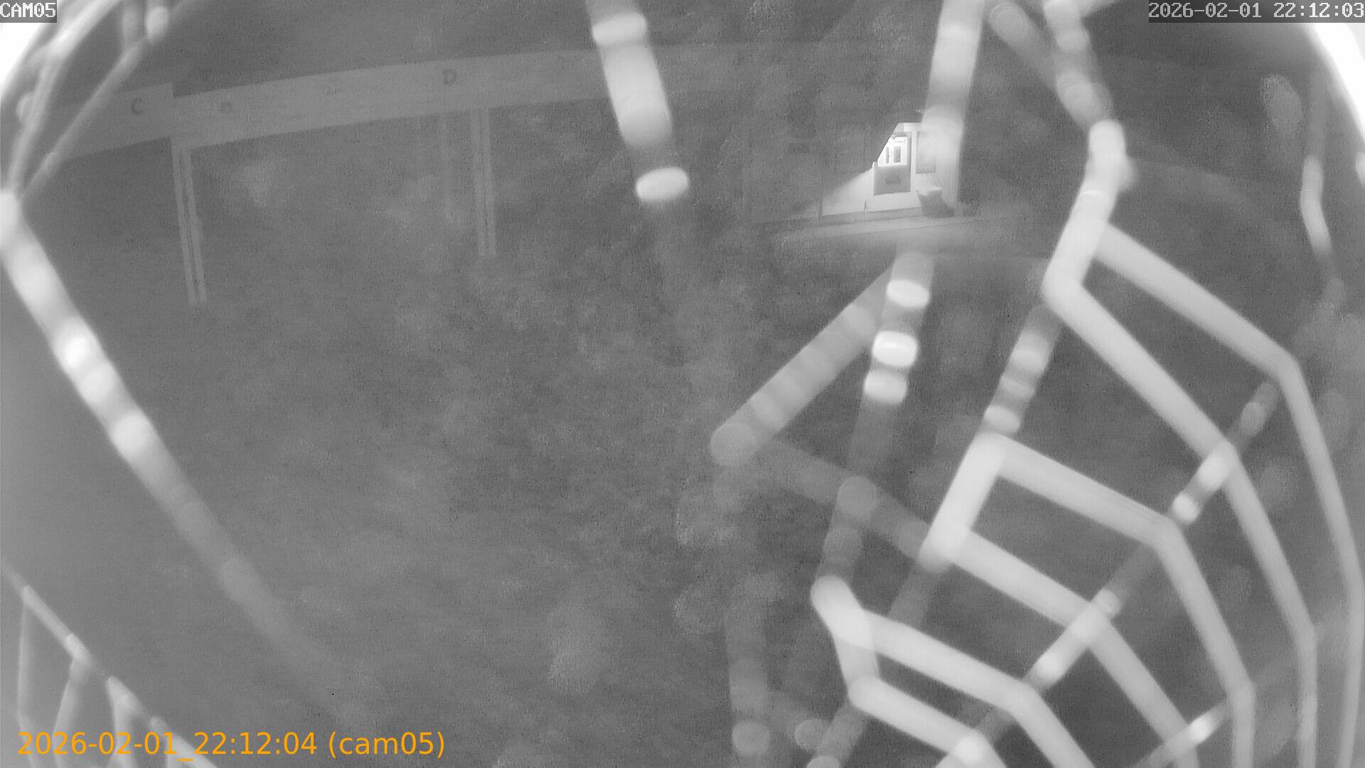 thumbnail_20260201221204