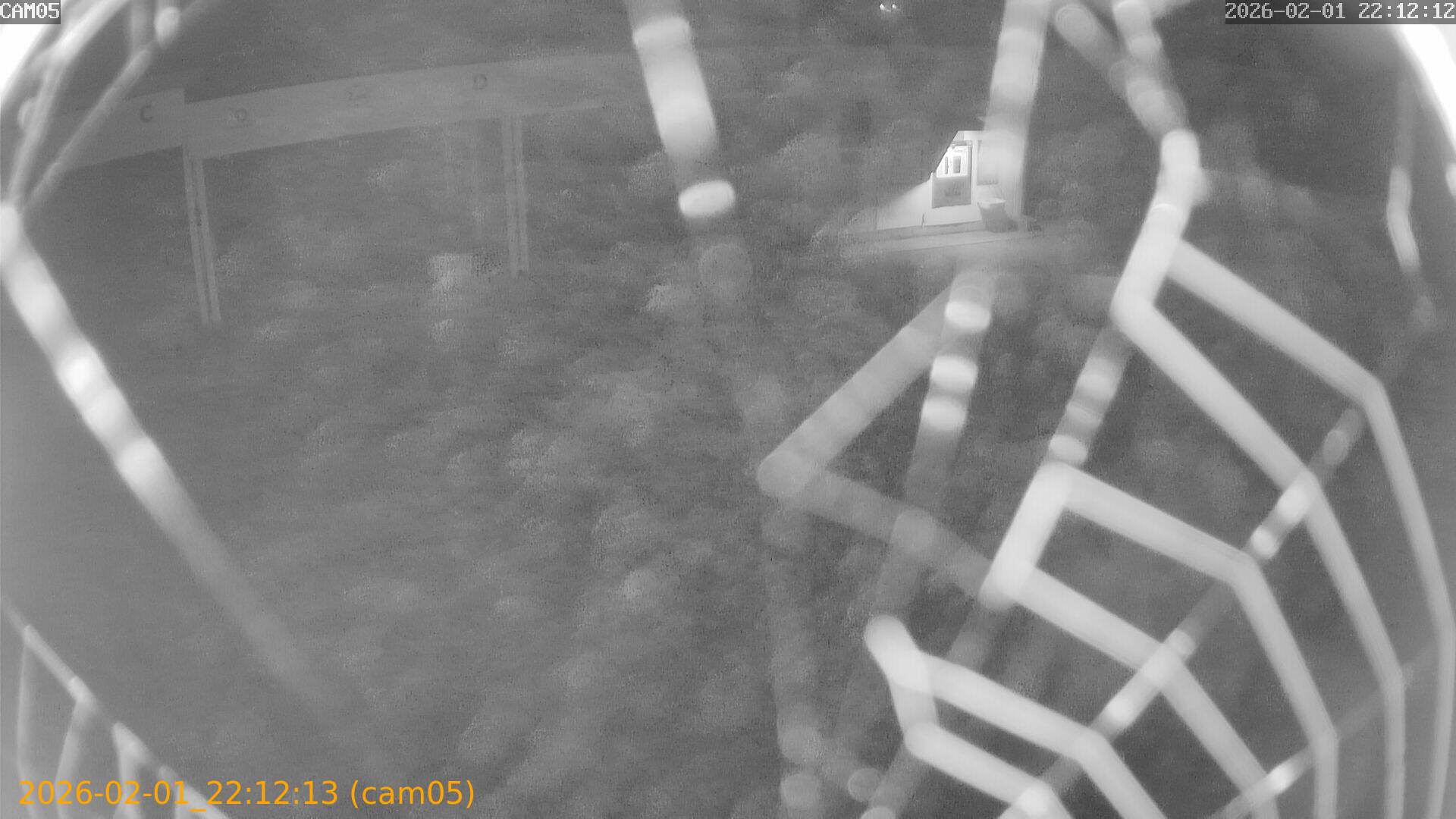 thumbnail_20260201221213