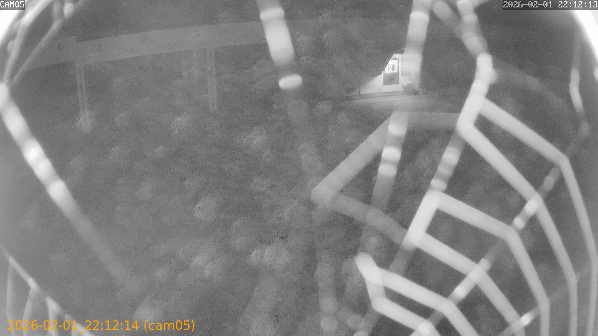 thumbnail_20260201221214