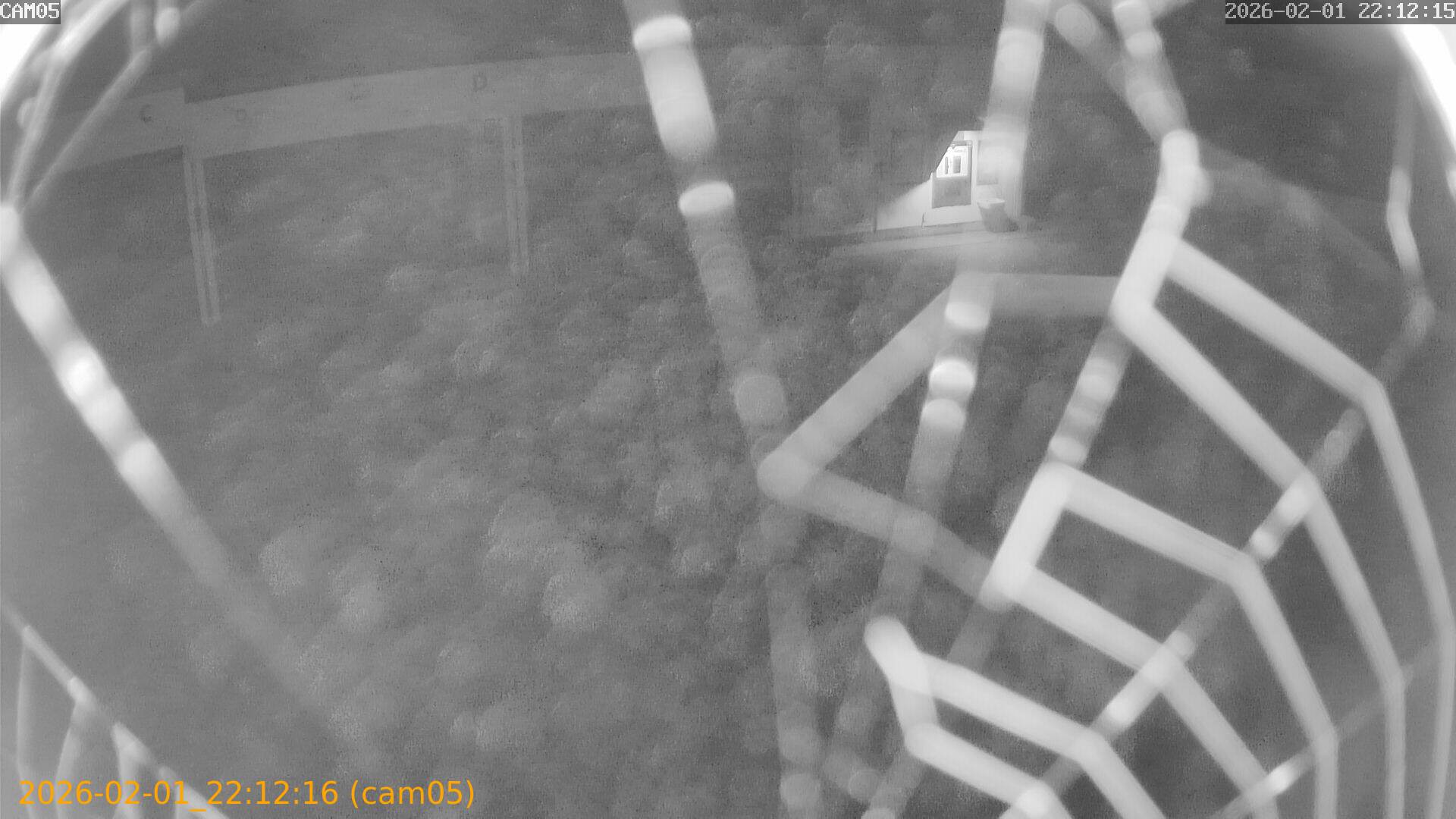 thumbnail_20260201221216