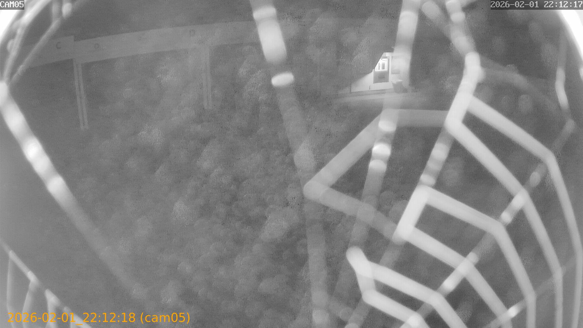 thumbnail_20260201221218