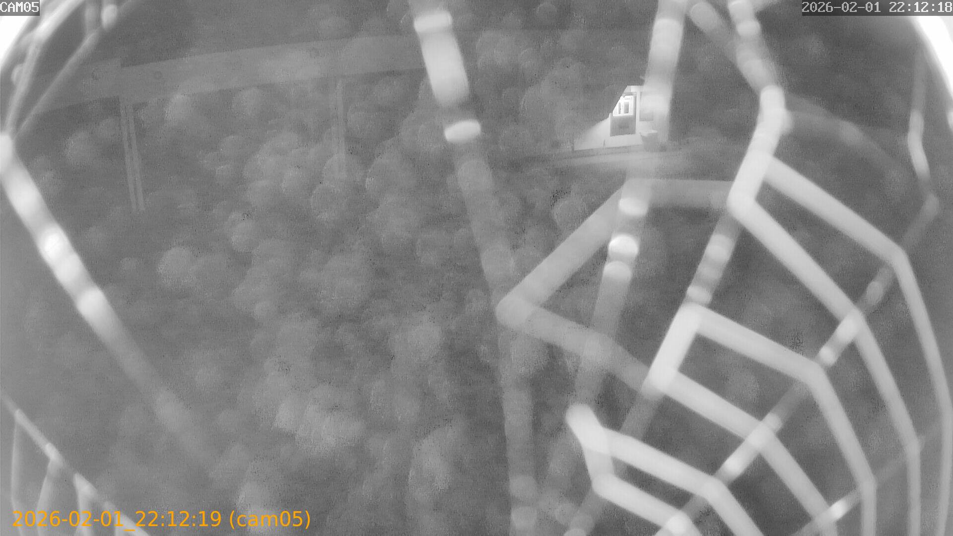 thumbnail_20260201221219