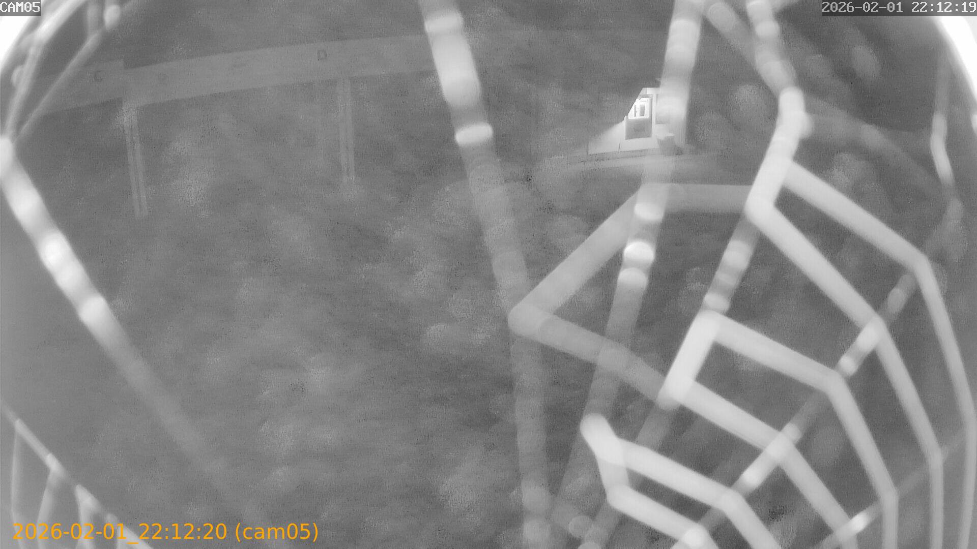 thumbnail_20260201221220