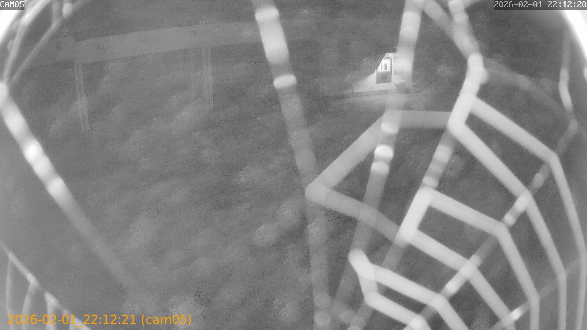 thumbnail_20260201221221