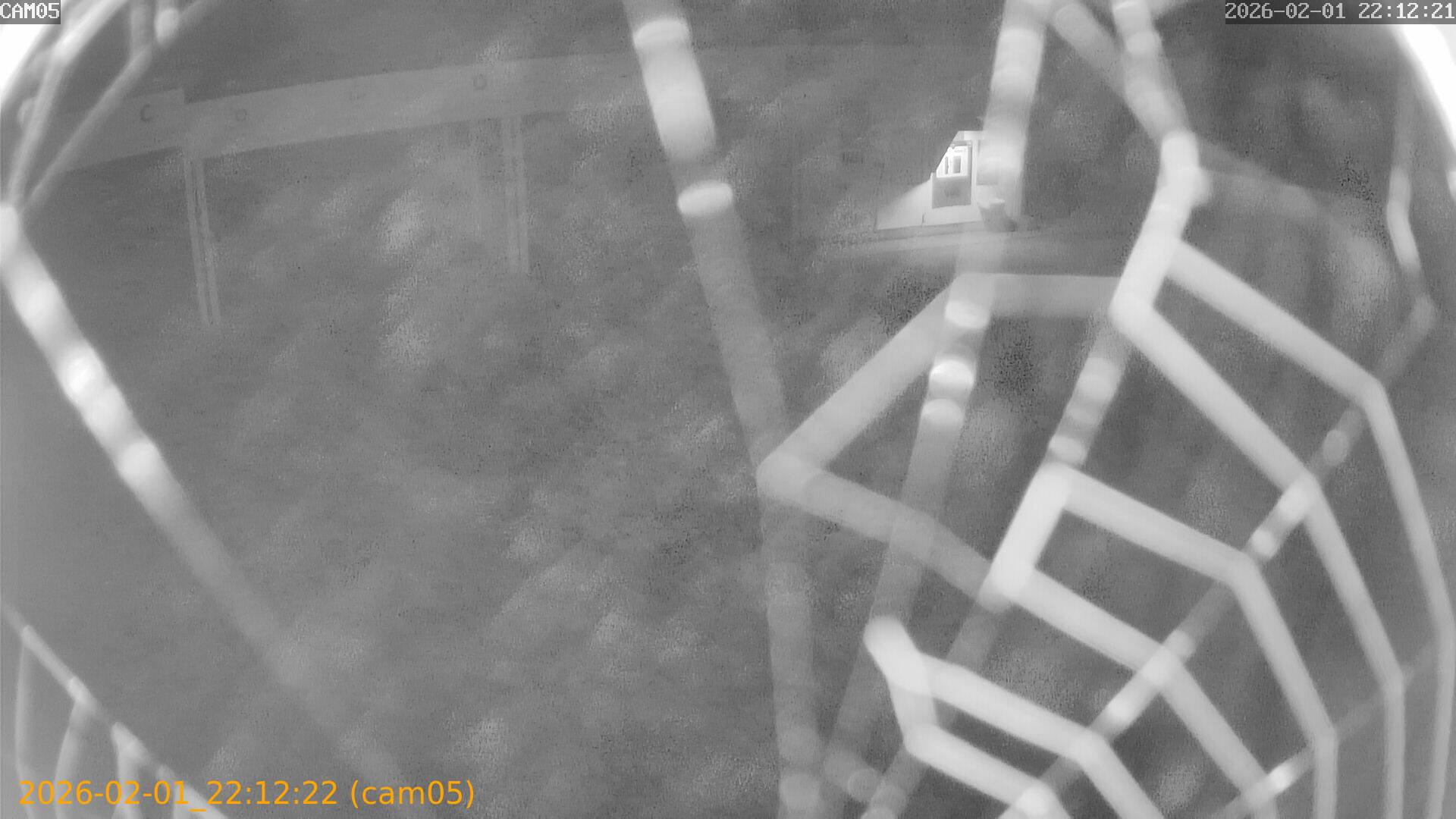 thumbnail_20260201221222