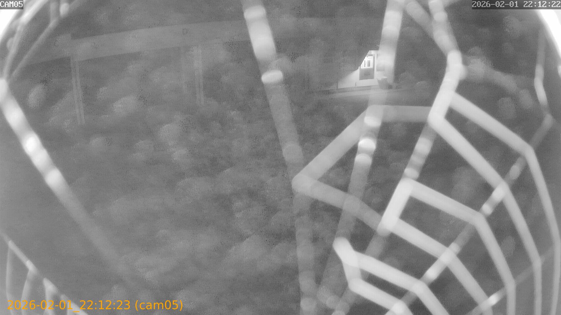 thumbnail_20260201221223