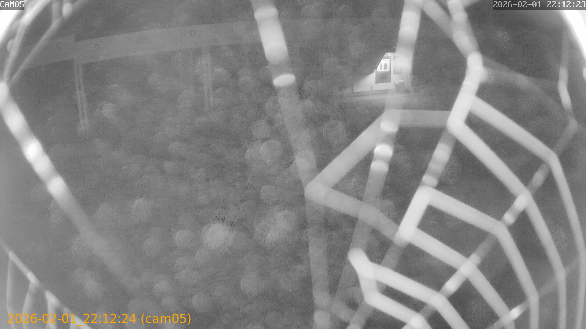 thumbnail_20260201221224