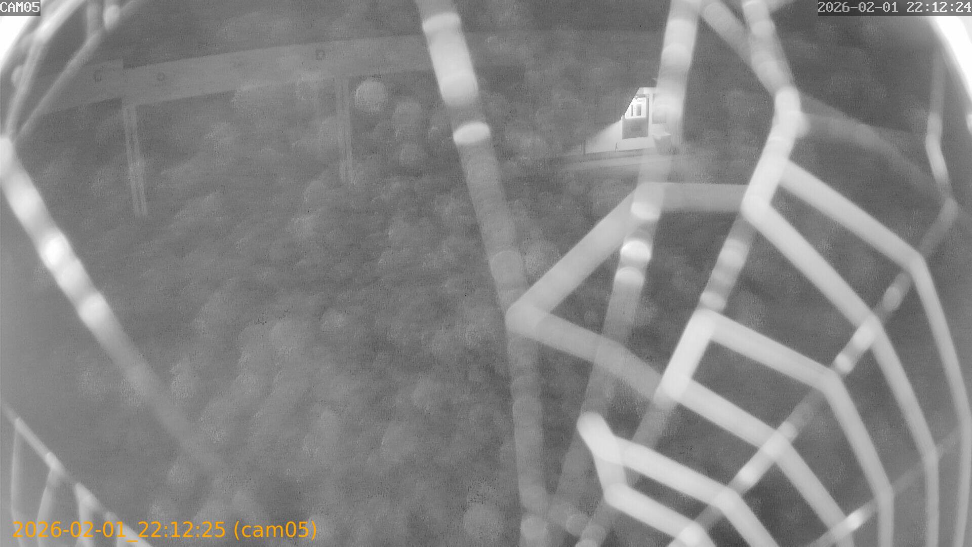 thumbnail_20260201221225