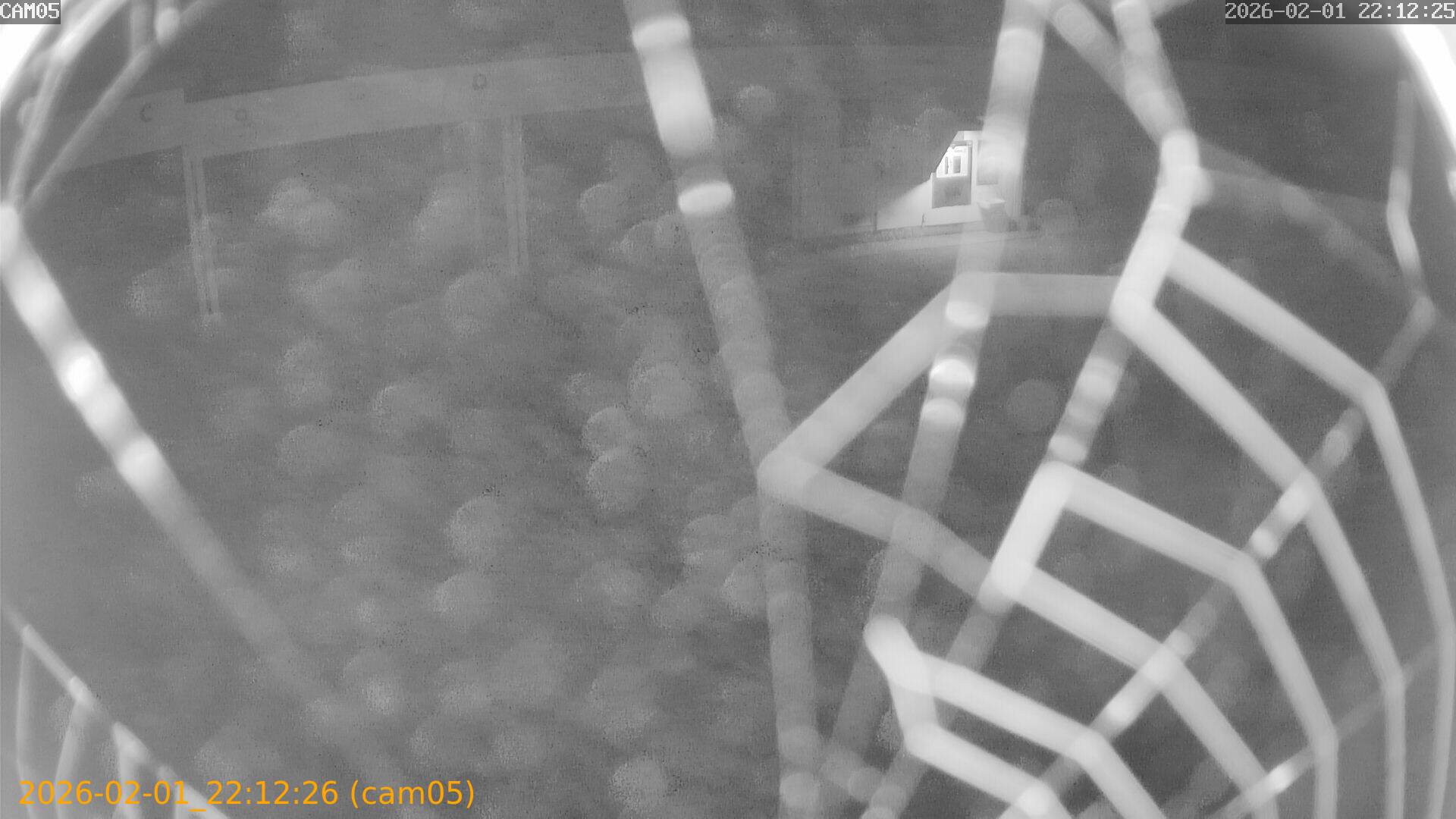 thumbnail_20260201221226