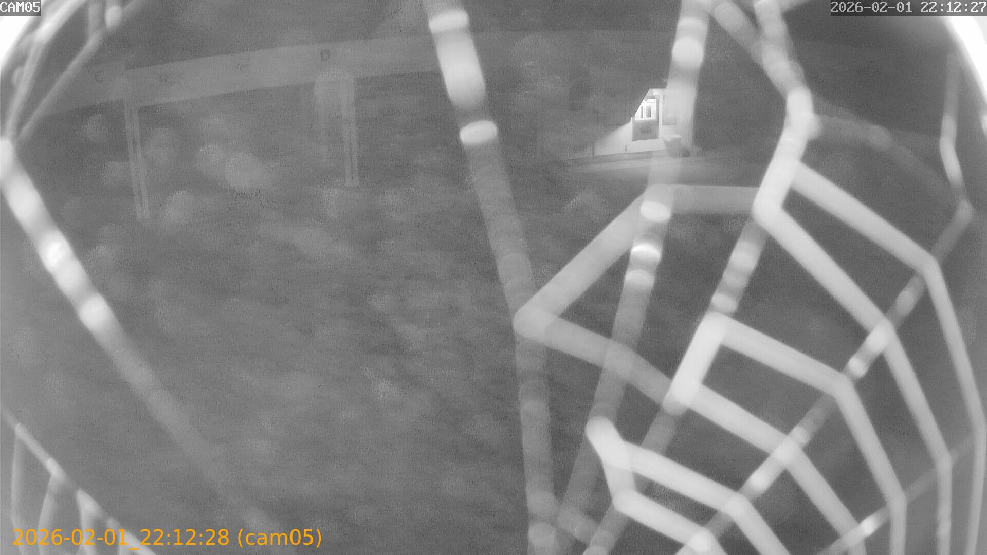 thumbnail_20260201221228